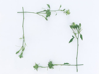image06