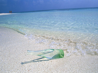 image11