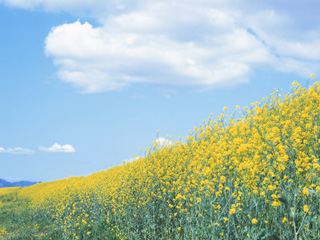 image20