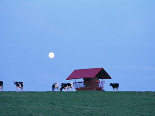 image28